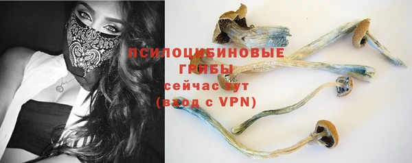 твердый Осинники