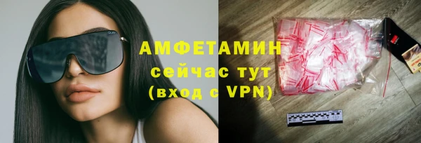 шишки Новозыбков