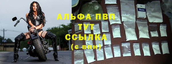 МДПВ Гусев