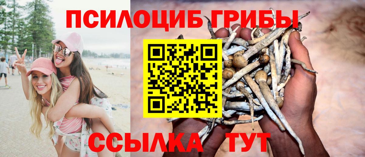 купить  сайты  Псилоцибиновые грибы мицелий  Вход с VPN  Назарово 