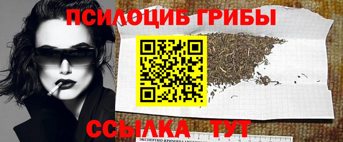 Псилоцибиновые грибы Cubensis Назарово